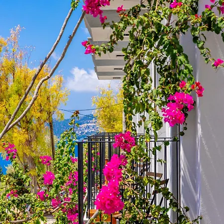 Konukevi Aphrodite 4*