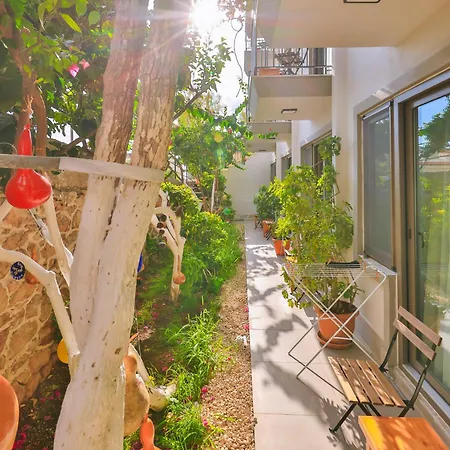 Aphrodite Guest house 2*