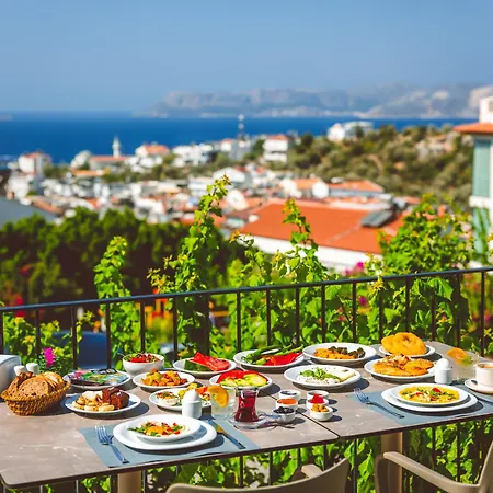 Aphrodite Гостевой дом Каш