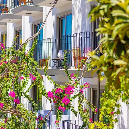 Aphrodite Гостевой дом 4*