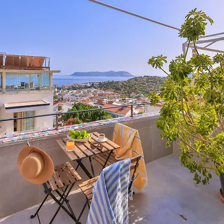 Aphrodite Guest house